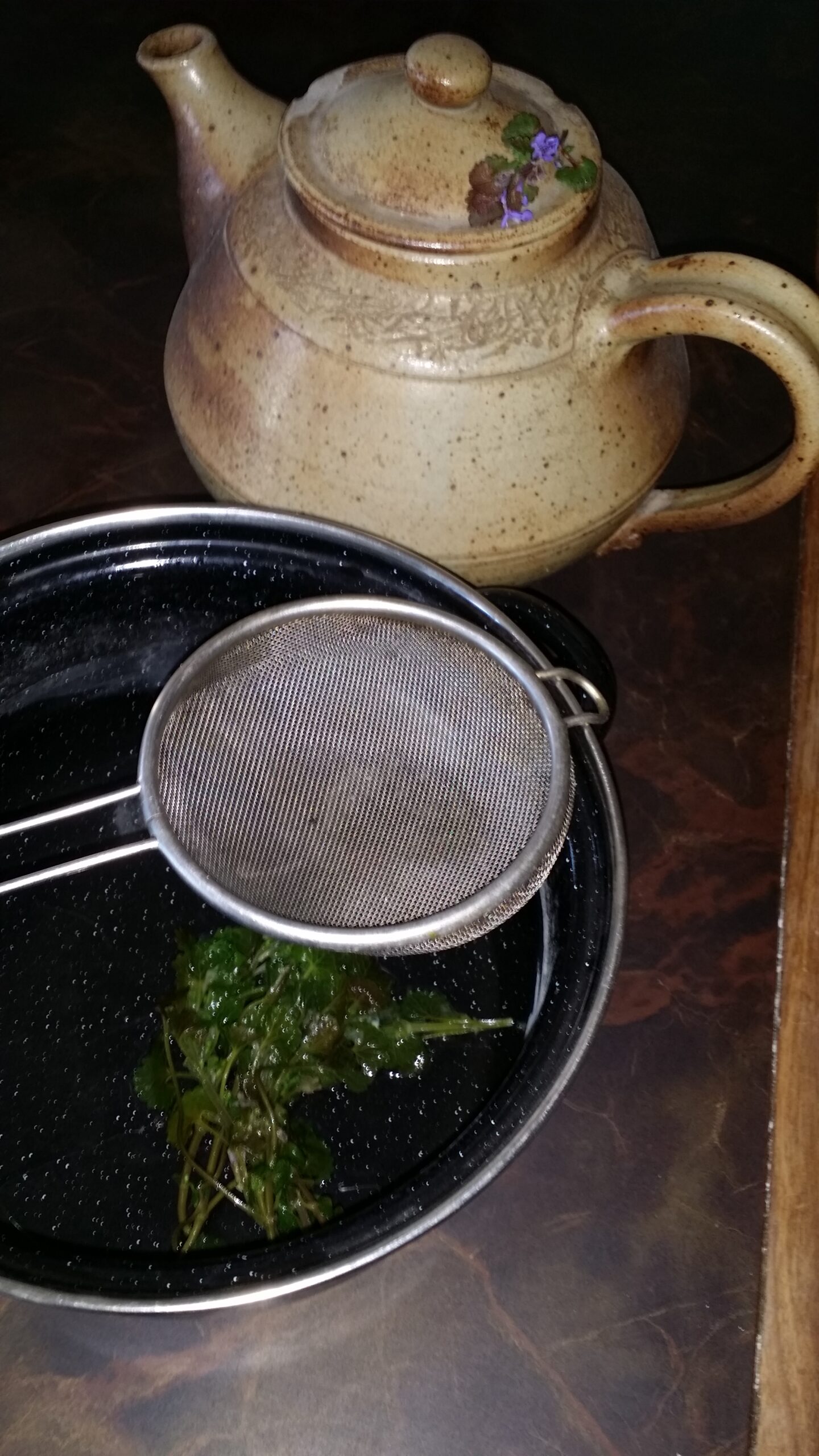 Petite infusion solaire de lierre terrestre, efficace pour soulager la toux