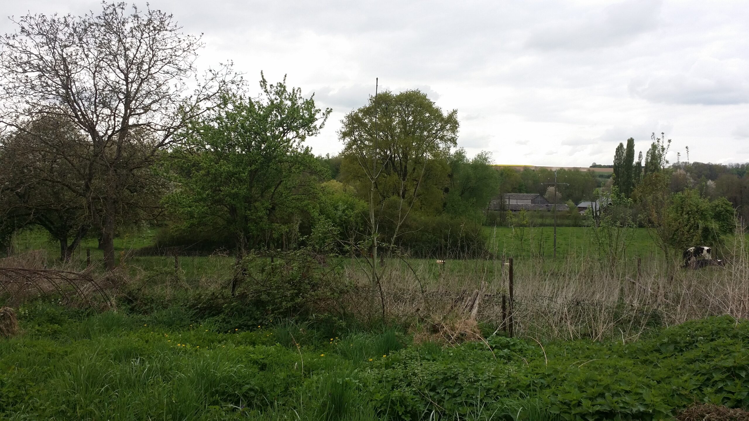 Belle vue de chez moi, idéal pour rédiger des contenus digitaux qui décoiffent