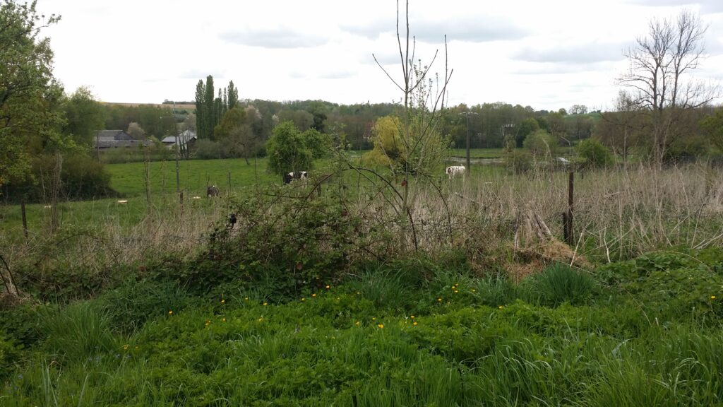 Paysage bocager dans les Ardennes