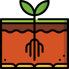 communication plante en pleine croissance dans un bac de terre