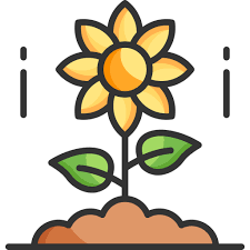 Plante épanouie synonyme d'un site internet épanoui car visible et lisible par les internautes grâce au SEO