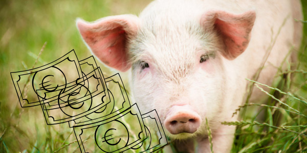 Le cochon tirelire ou comment augmenter son chiffre d'affaires grâce à la rédaction web