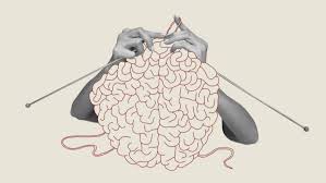 Tricoter le cerveau pour la plasticité cérébrale